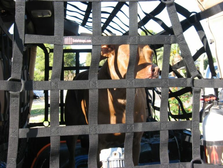 Safari Straps Jeep Wrangler (TJ)